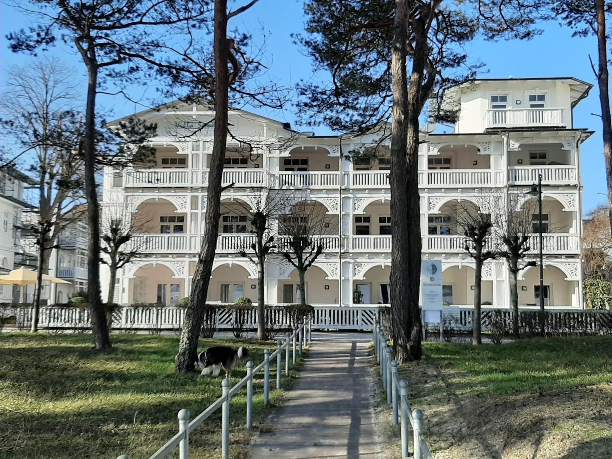 Ferienwohnung Ostseeblick In Der Villa Seeadler Остзебад Бинц Екстериор снимка